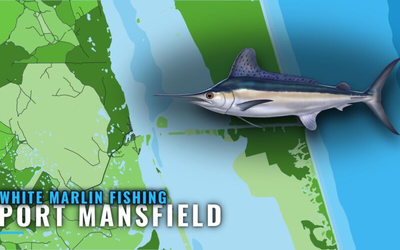 White marlin fishing out of Port Mansfield: where boats run
