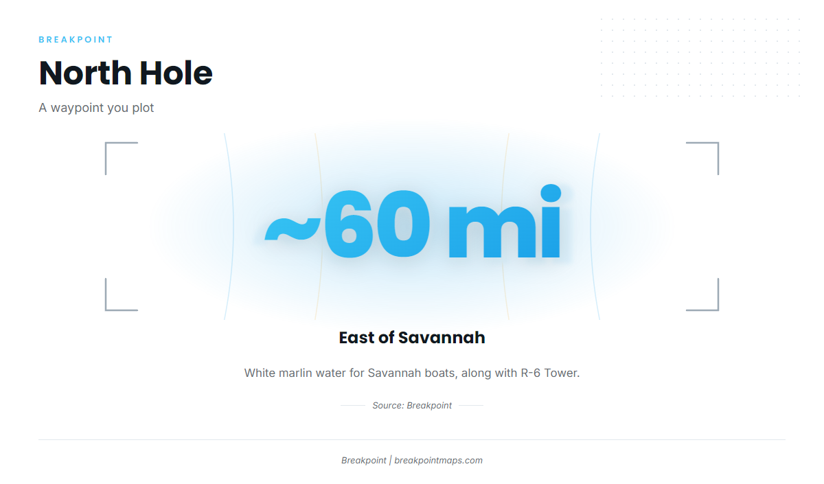 North Hole (White marlin fishing out of Savannah)