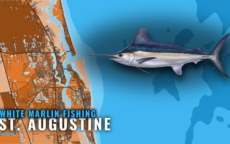 White Marlin Fishing out of St. Augustine: Reefs and Season
