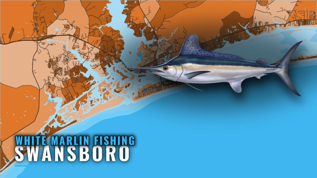 White Marlin Fishing Out of Swansboro: Marks and Timing
