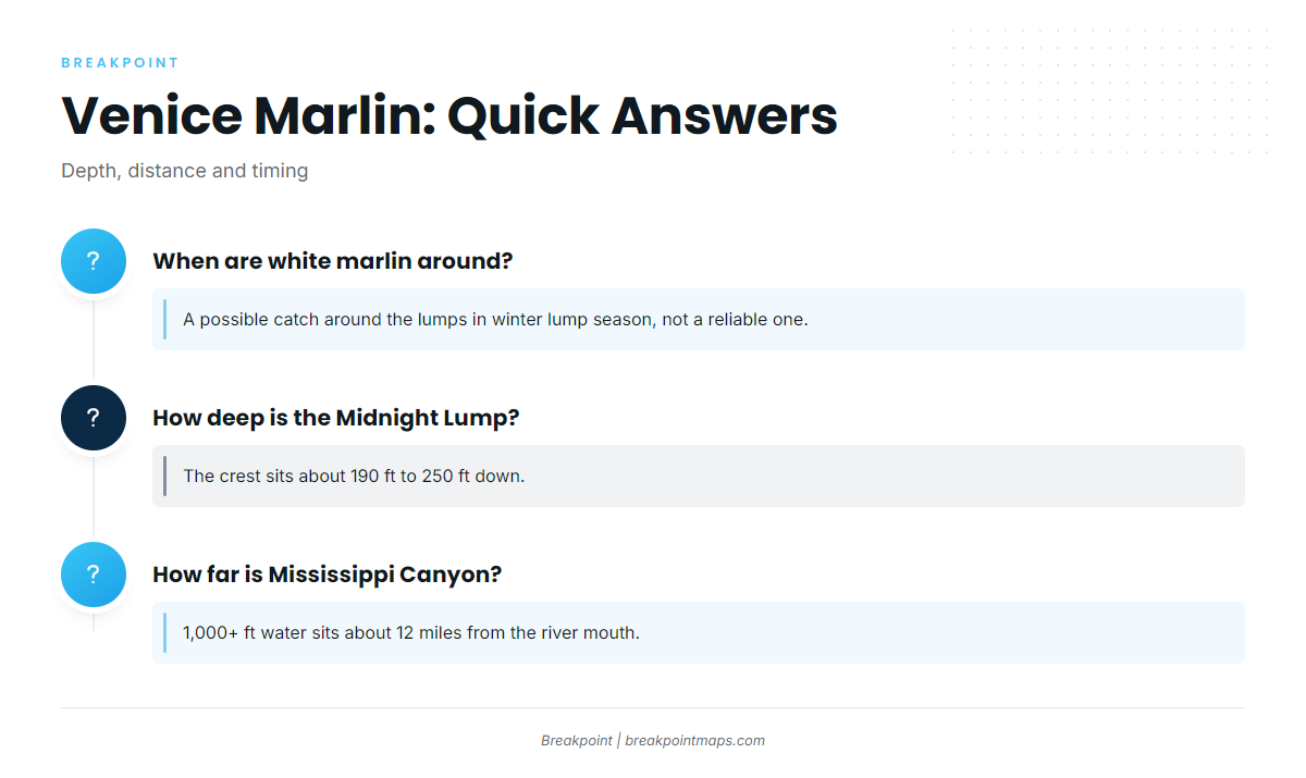 FAQ: white marlin fishing out of Venice
