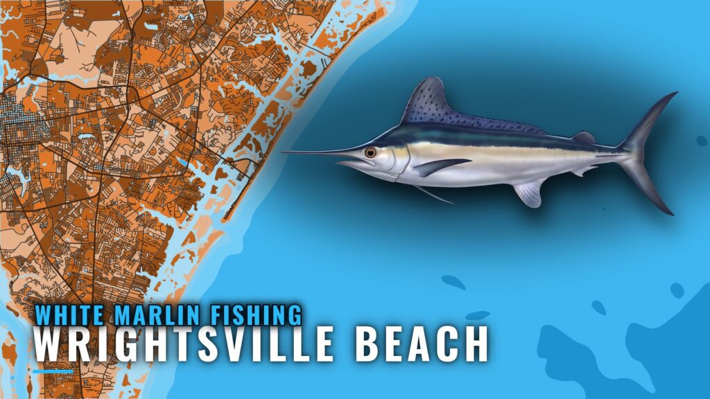 White Marlin Fishing Out of Wrightsville Beach, NC