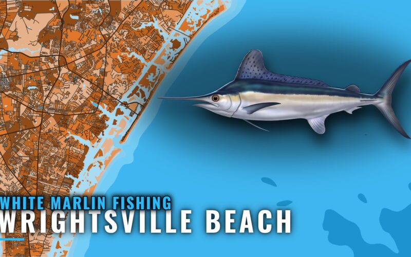 White Marlin Fishing Out of Wrightsville Beach, NC