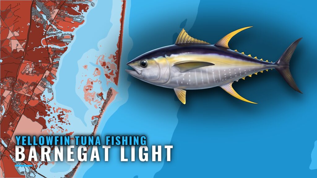 Yellowfin Tuna Fishing Out of Barnegat Light: Port Guide