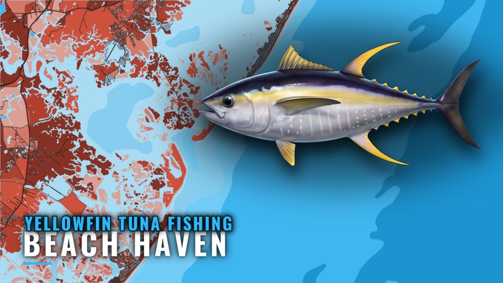 Yellowfin Tuna Fishing Out of Beach Haven: Where Boats Run