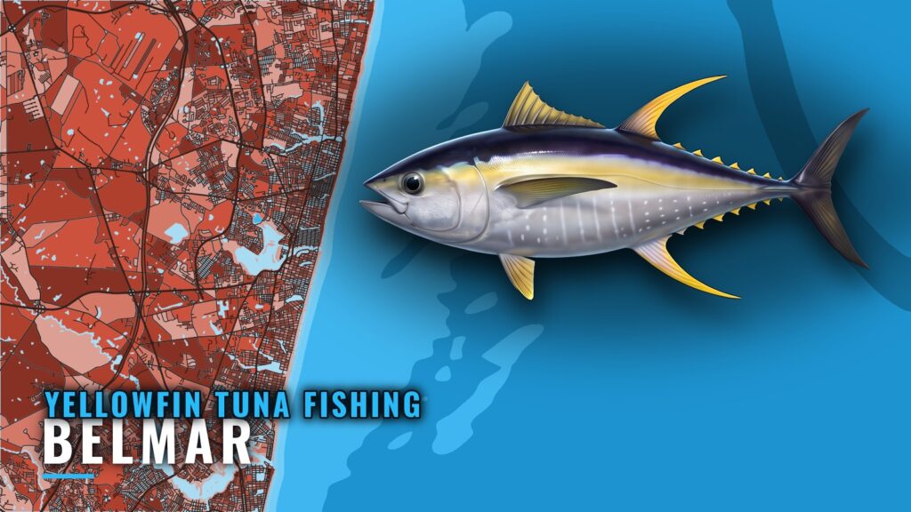 Yellowfin Tuna Fishing out of Belmar: Grounds and Methods
