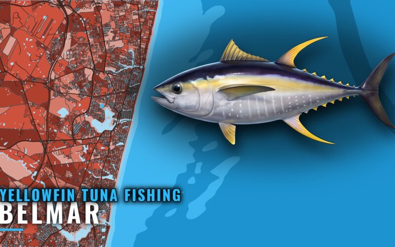 Yellowfin Tuna Fishing out of Belmar: Grounds and Methods