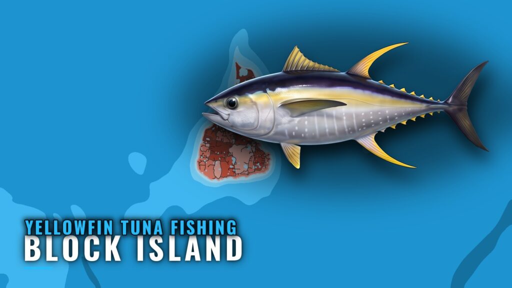 Yellowfin Tuna Fishing Out of Block Island: Run and Grounds