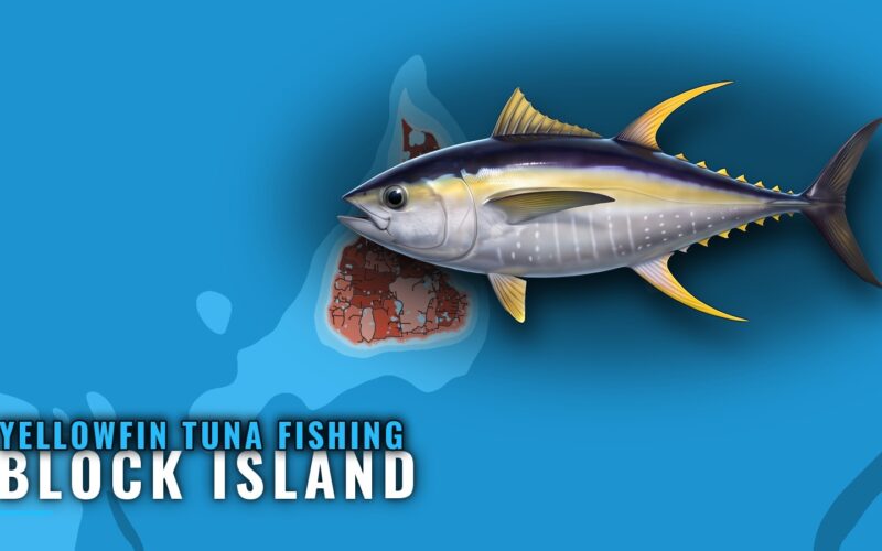 Yellowfin Tuna Fishing Out of Block Island: Run and Grounds
