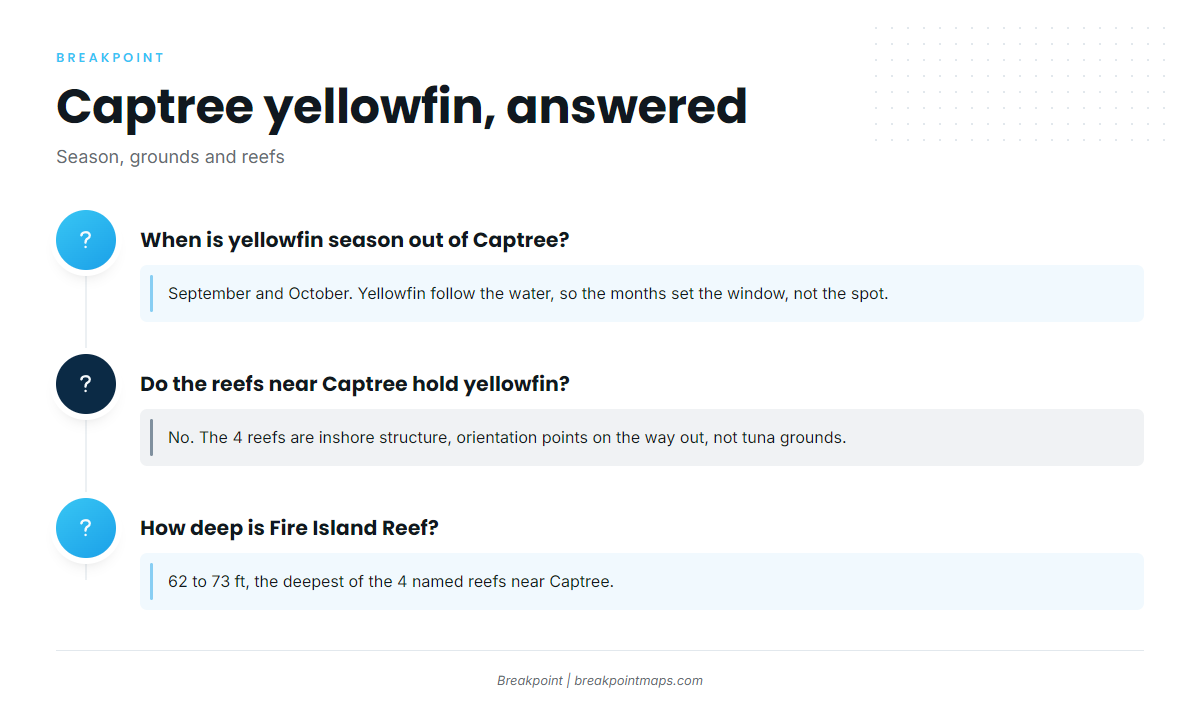 FAQ about yellowfin tuna fishing out of Captree