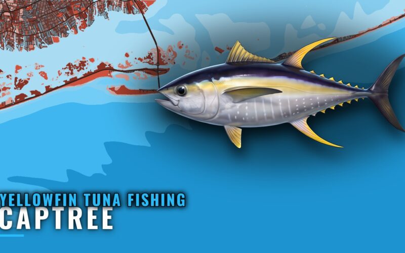 Yellowfin Tuna Fishing Out of Captree: Season and Reefs
