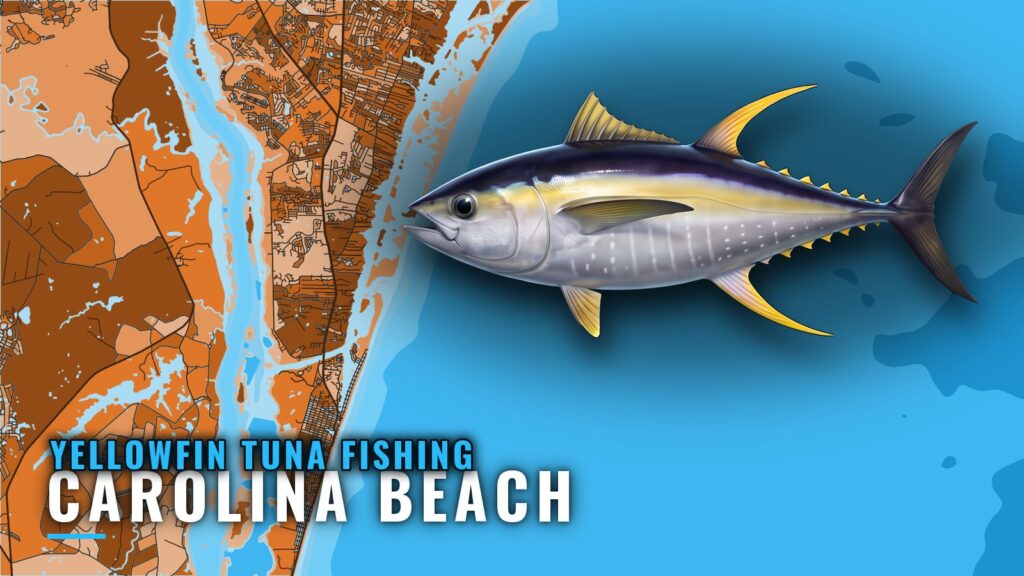 Yellowfin Tuna Fishing out of Carolina Beach, NC