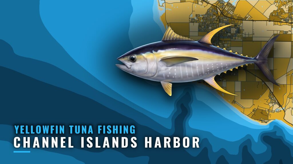 Yellowfin Tuna Fishing Out of Channel Islands Harbor