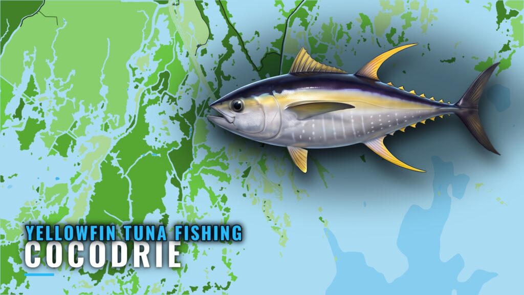 Yellowfin Tuna Fishing Out of Cocodrie: Structure and Depth