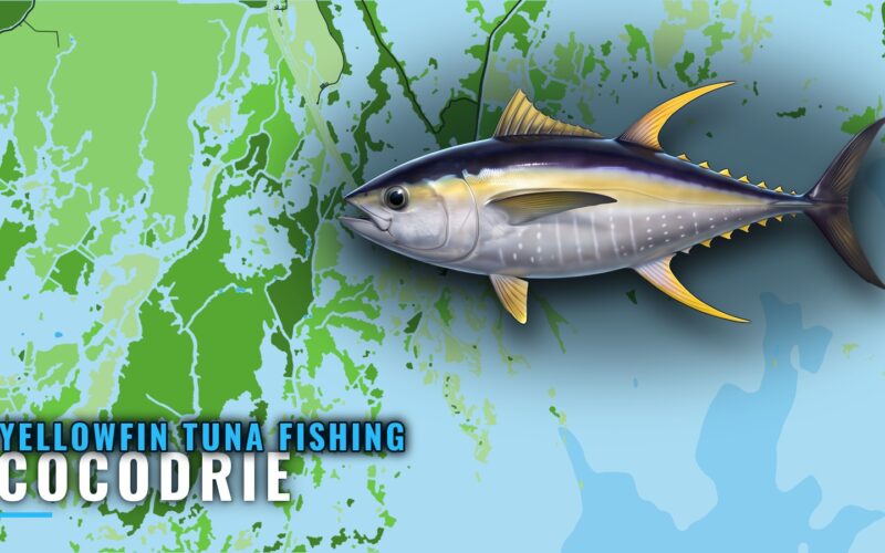 Yellowfin Tuna Fishing Out of Cocodrie: Structure and Depth