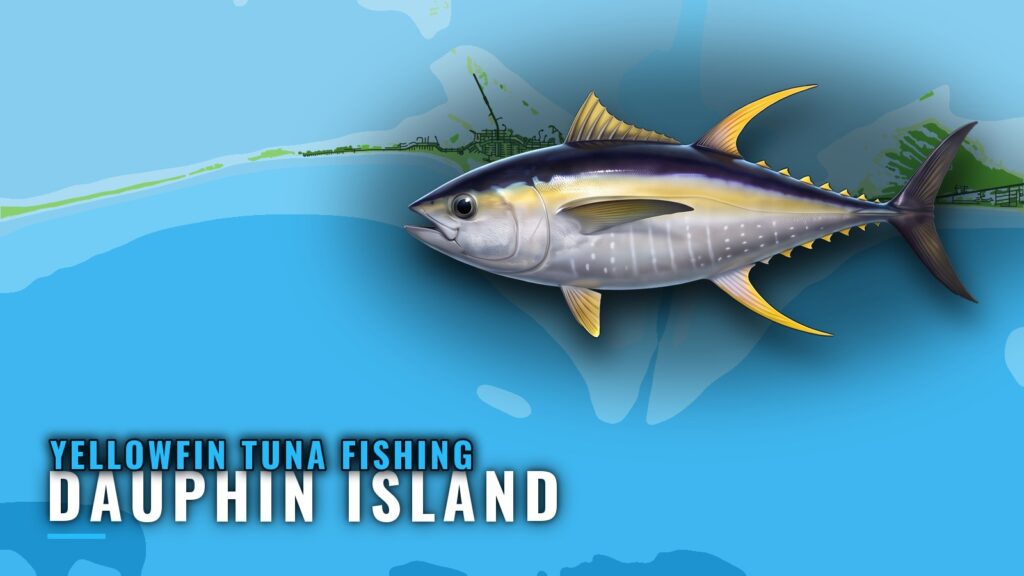 Yellowfin Tuna Fishing Out of Dauphin Island, Alabama