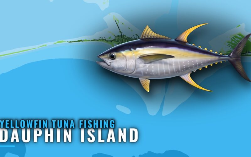 Yellowfin Tuna Fishing Out of Dauphin Island, Alabama