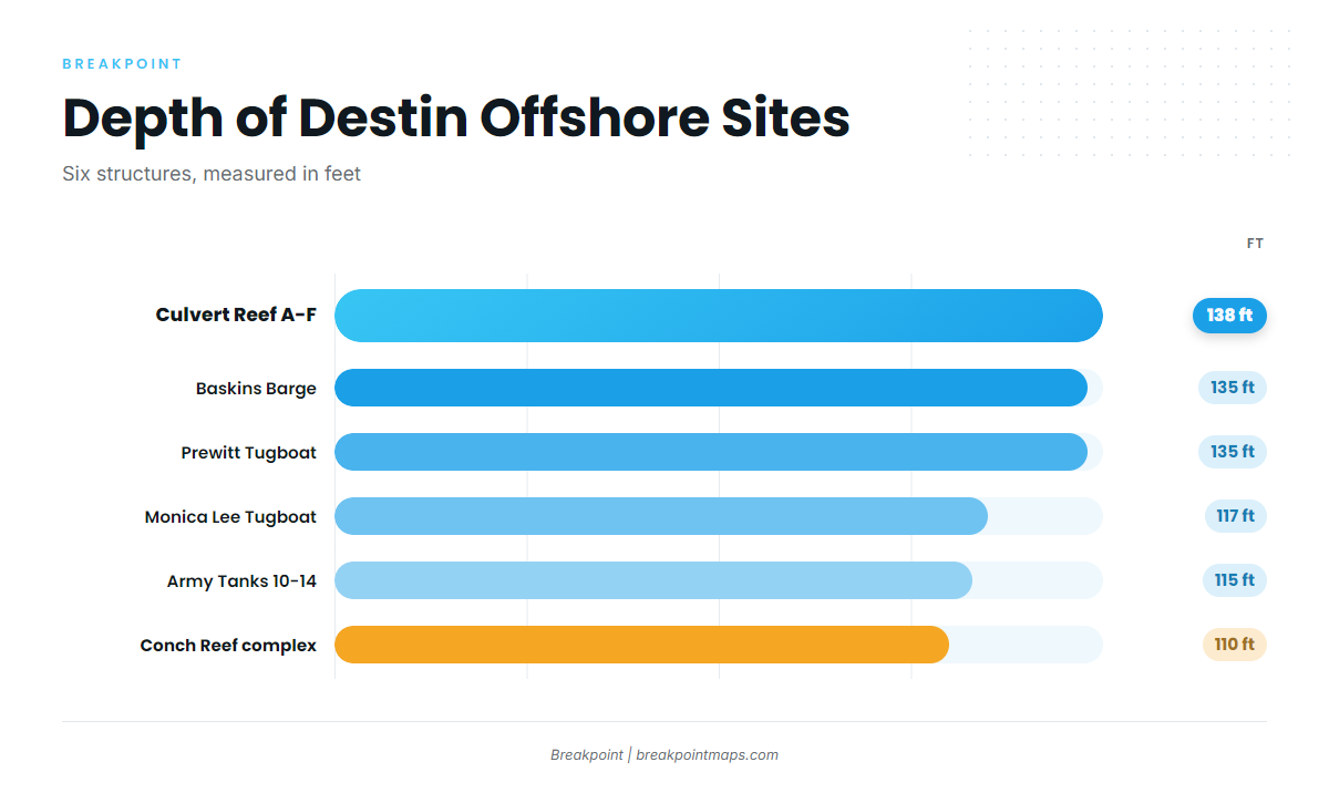 Grounds and structure that hold yellowfin