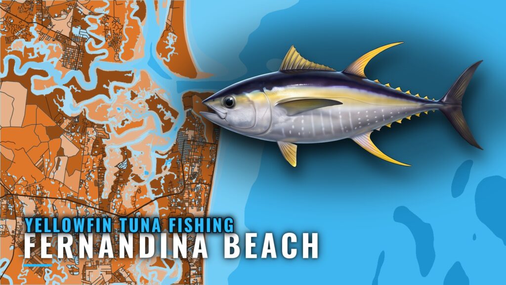 Yellowfin Tuna Fishing Out of Fernandina Beach, Florida