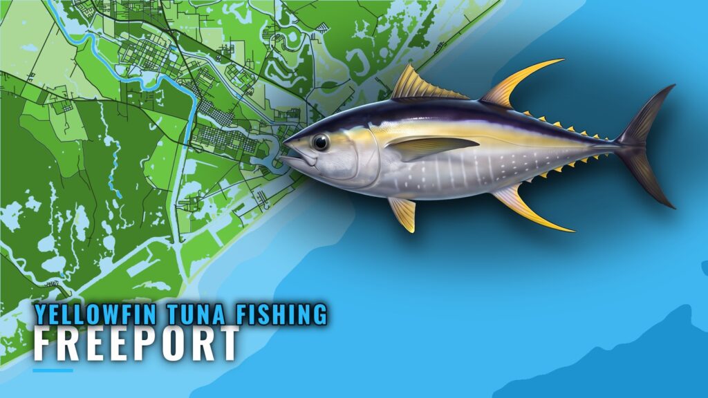 Yellowfin Tuna Fishing Out of Freeport: Trips and Grounds