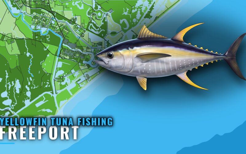 Yellowfin Tuna Fishing Out of Freeport: Trips and Grounds