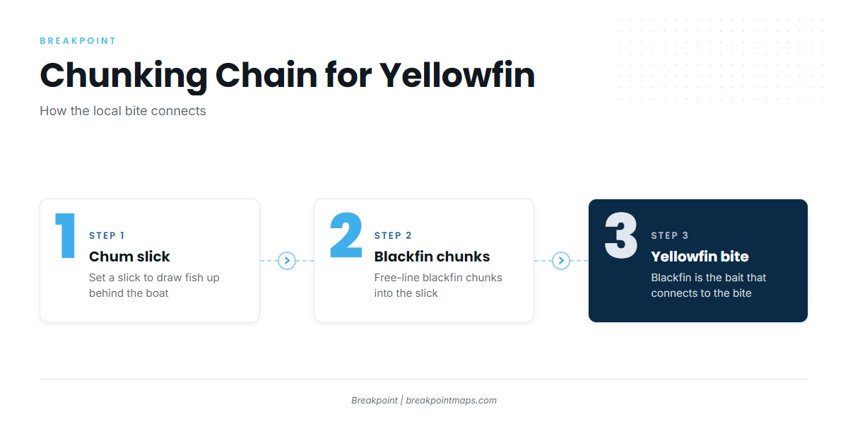 How yellowfin are fished here