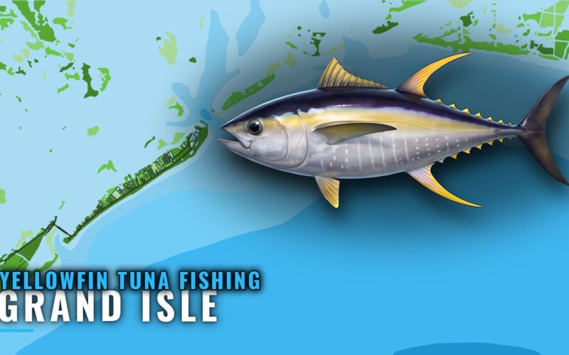 Yellowfin Tuna Fishing Out of Grand Isle: Where and When