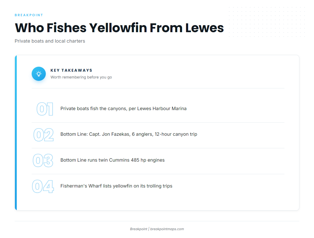 Who Fishes Yellowfin Out of Lewes