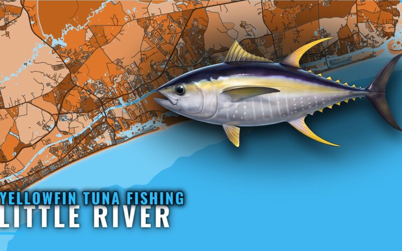 Yellowfin Tuna Fishing Out of Little River: Run and Reefs