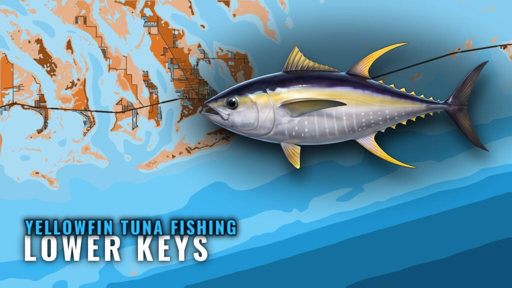 Yellowfin Tuna Fishing Out of the Lower Keys: Where to Run