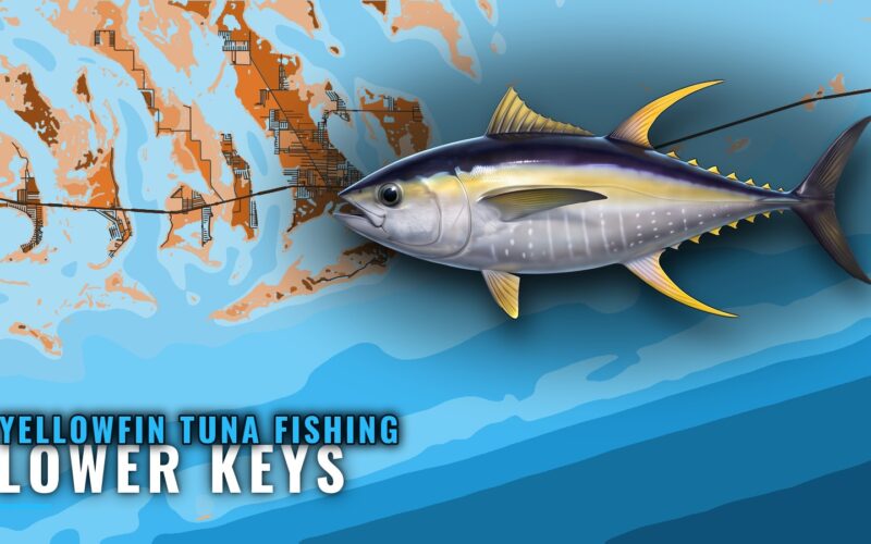 Yellowfin Tuna Fishing Out of the Lower Keys: Where to Run