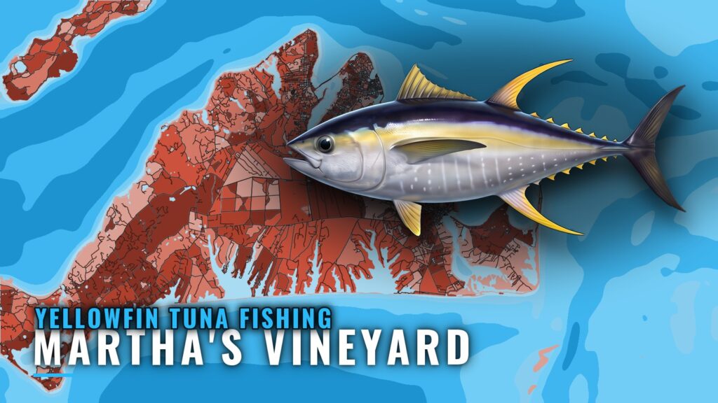 Yellowfin Tuna Fishing out of Martha’s Vineyard: Grounds