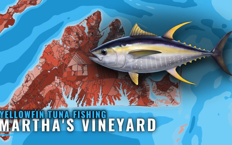 Yellowfin Tuna Fishing out of Martha’s Vineyard: Grounds