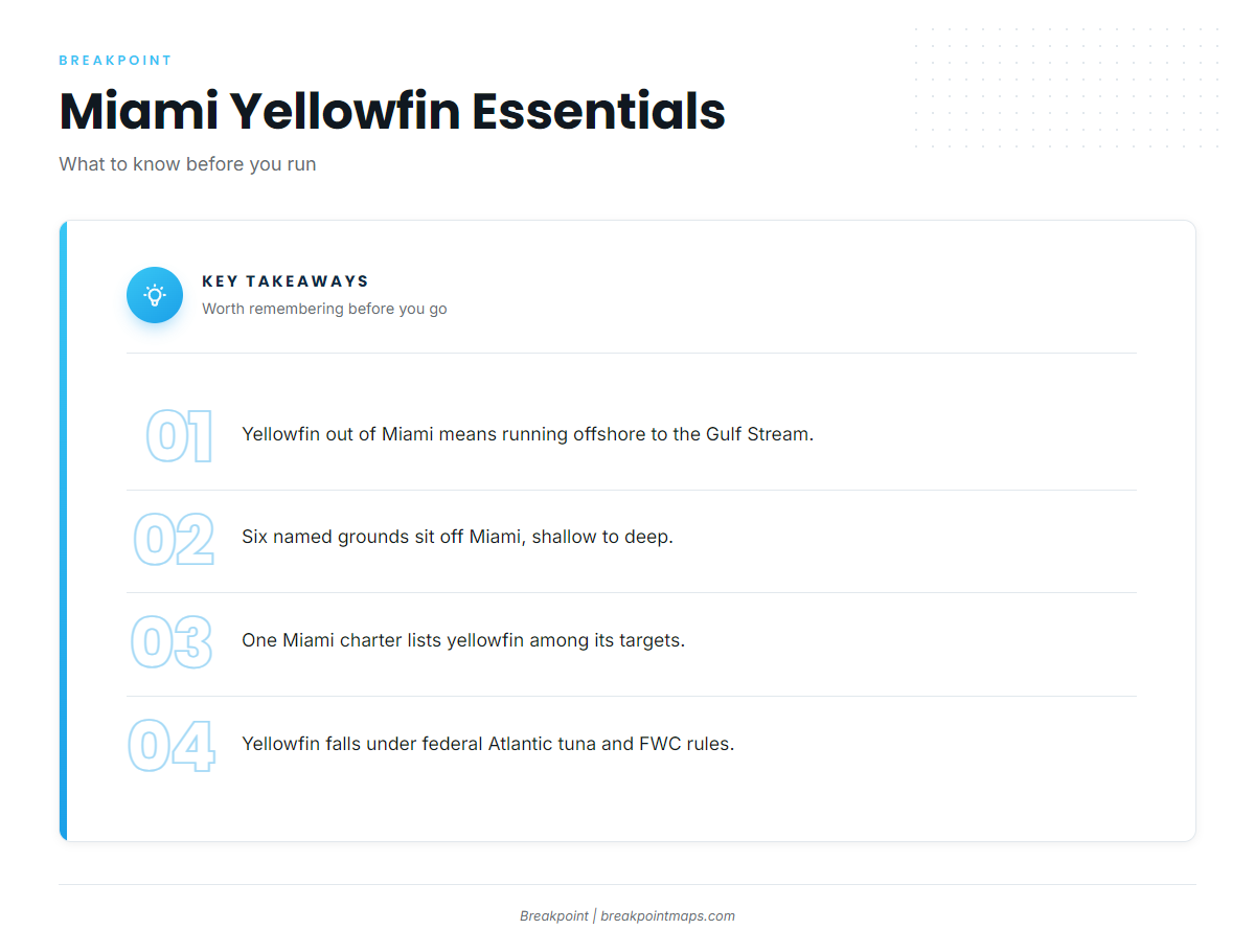 FAQ: yellowfin tuna out of Miami
