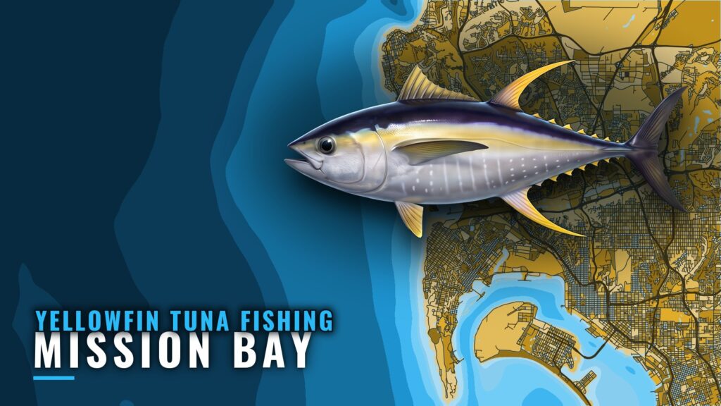 Yellowfin Tuna Fishing Out of Mission Bay: Skipper’s Brief