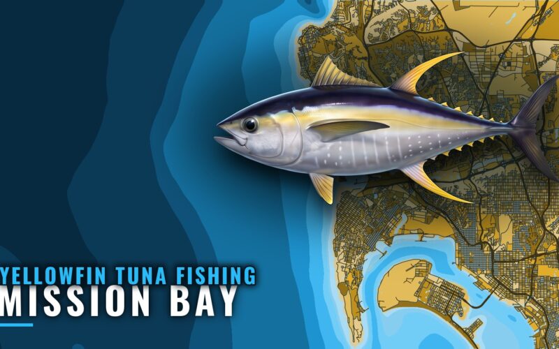 Yellowfin Tuna Fishing Out of Mission Bay: Skipper’s Brief