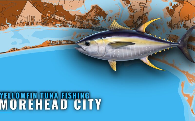 Yellowfin Tuna Fishing Out of Morehead City, NC