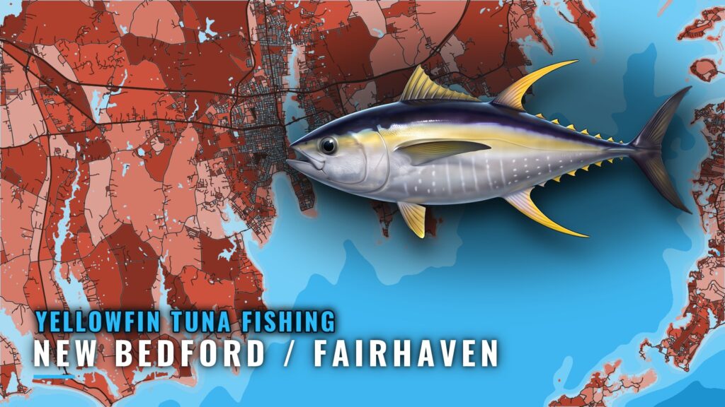 Yellowfin Tuna Fishing Out of New Bedford / Fairhaven