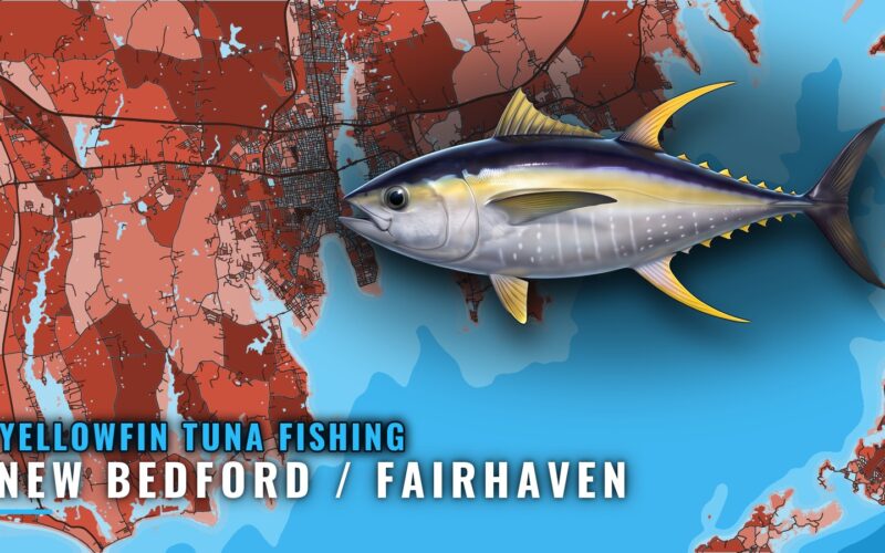 Yellowfin Tuna Fishing Out of New Bedford / Fairhaven