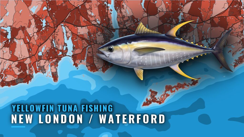 Yellowfin Tuna Fishing out of New London / Waterford, CT