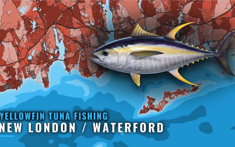 Yellowfin Tuna Fishing out of New London / Waterford, CT
