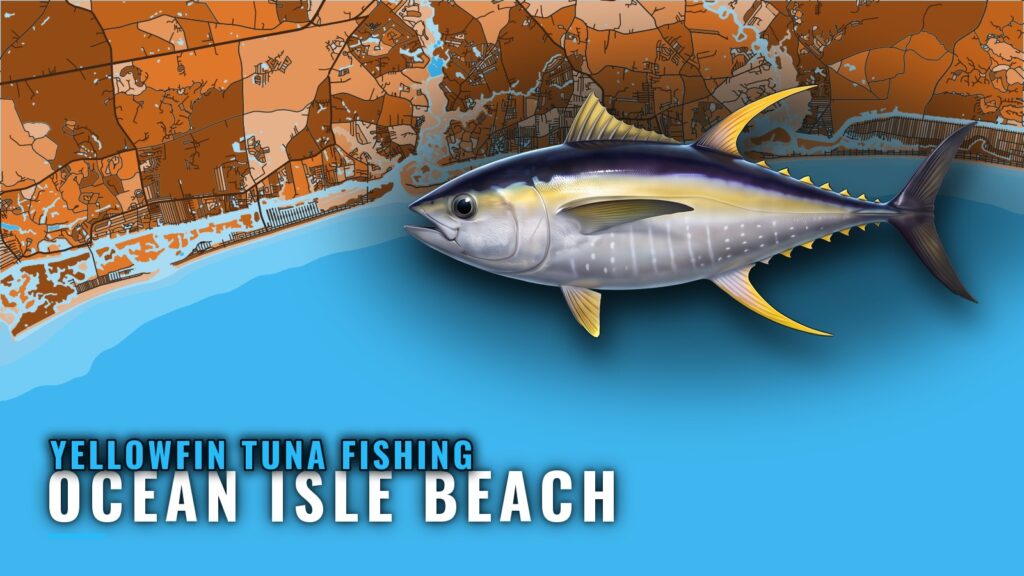 Yellowfin Tuna Fishing Out of Ocean Isle Beach, NC