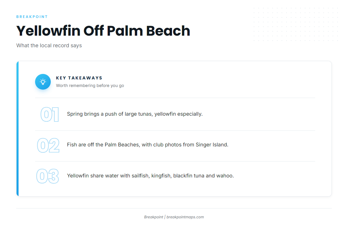 When yellowfin are off Palm Beach