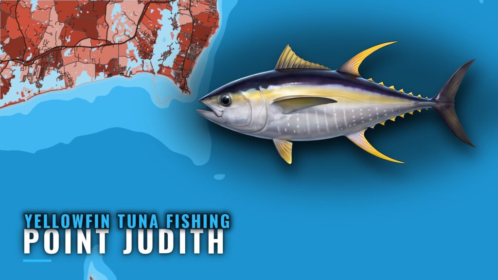 Yellowfin Tuna Fishing Out of Point Judith: Where to Look