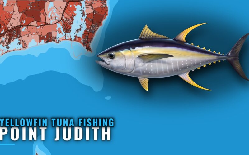 Yellowfin Tuna Fishing Out of Point Judith: Where to Look