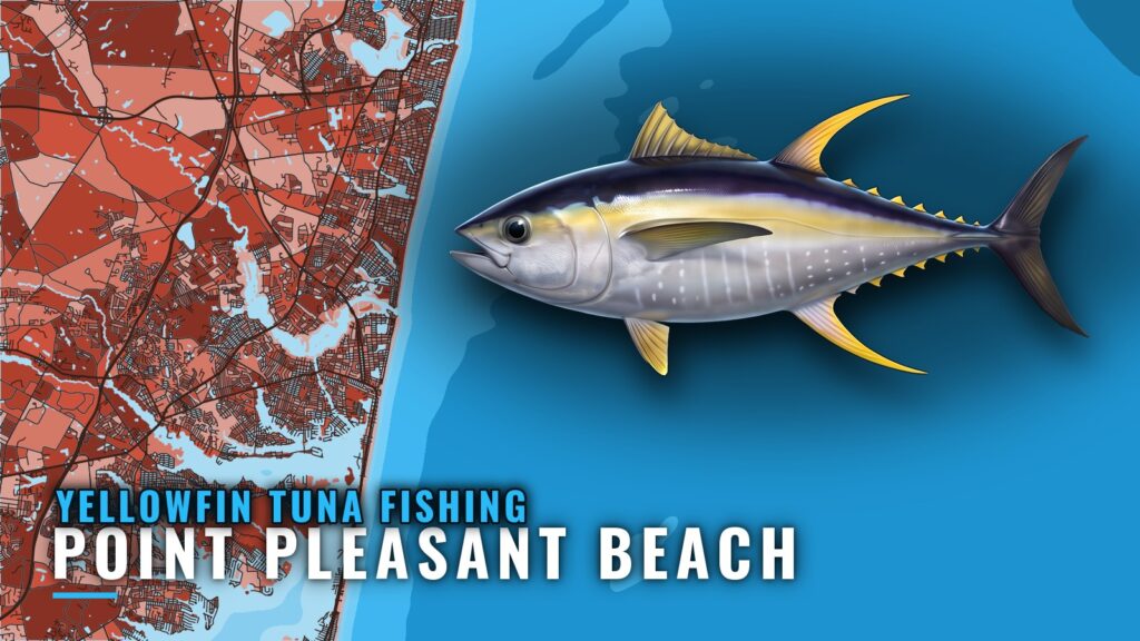 Yellowfin Tuna Fishing Out of Point Pleasant Beach, NJ