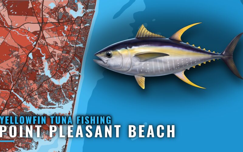 Yellowfin Tuna Fishing Out of Point Pleasant Beach, NJ
