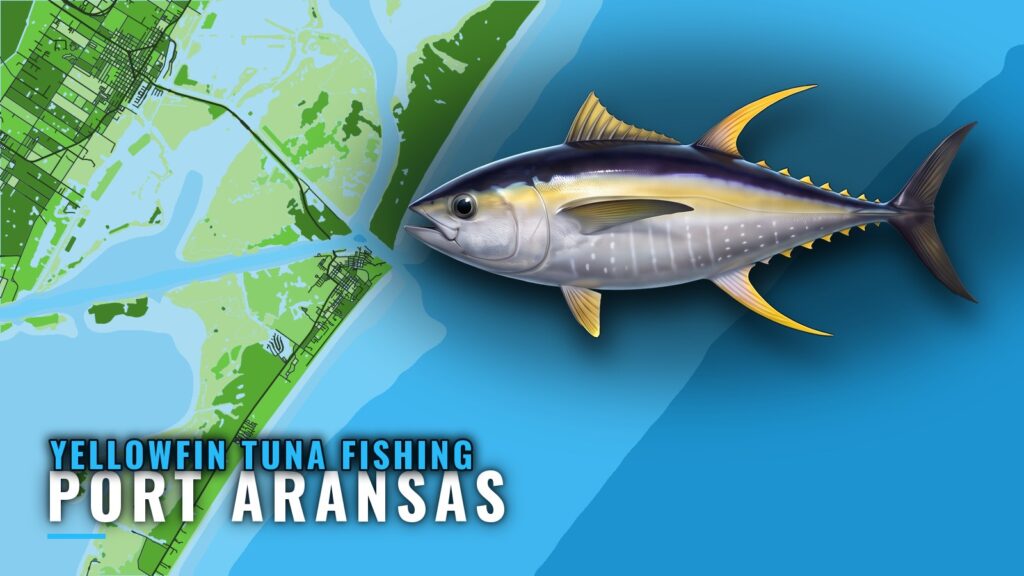 Yellowfin Tuna Fishing Out of Port Aransas: Reefs and Runs