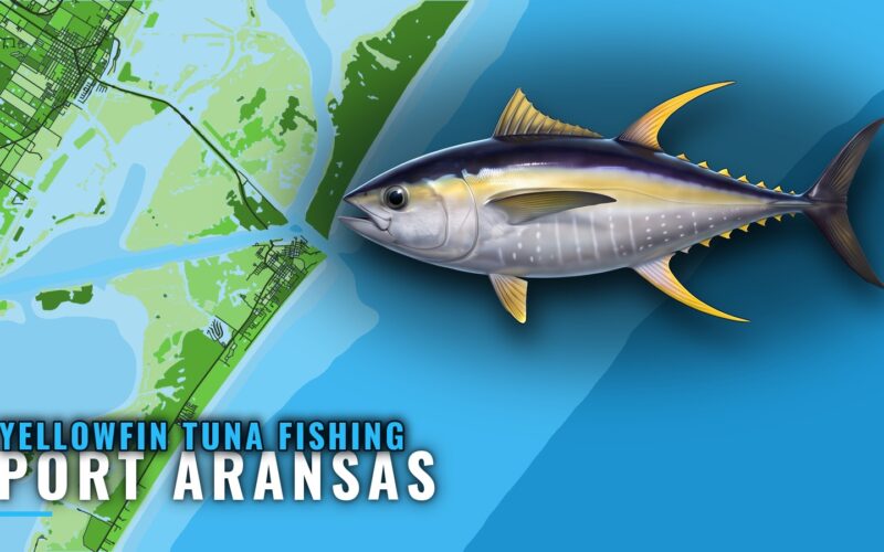Yellowfin Tuna Fishing Out of Port Aransas: Reefs and Runs