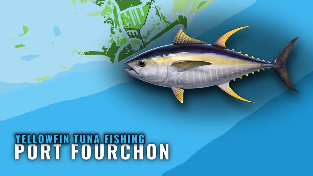 Yellowfin Tuna Fishing Out of Port Fourchon, Louisiana